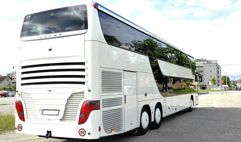 Alentejo: Bus charter in Estremoz in Estremoz and Portugal