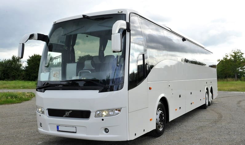 Spain: Buses agency in Andalusia in Andalusia and Algeciras