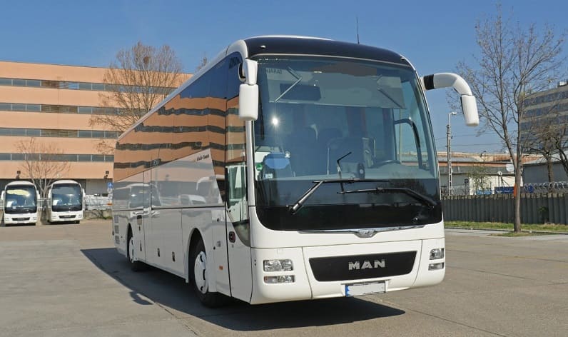 Andalusia: Buses operator in El Ejido in El Ejido and Spain