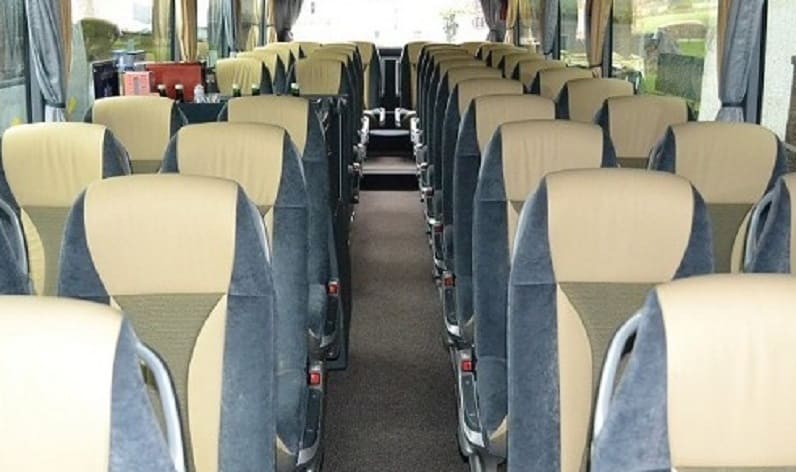 Spain: Coach operator in Andalusia in Andalusia and Torremolinos